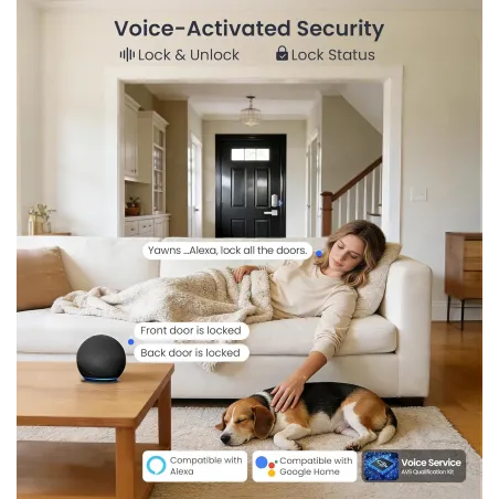 Veise VE012W Built-in WiFi Fingerprint Smart Lock with App, Alexa & Google Compatible, Keyless Entry Deadbolt