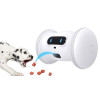 Varram Pet Fitnes, your pet's best friend
