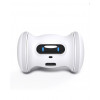 Varram Pet Fitnes, your pet's best friend