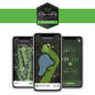 Arccos Caddie Smart Sensors: AI Golf Tracking System for Lower Scores Arccos Caddie Smart Sensors: AI Golf Tracking System for Lower Scores