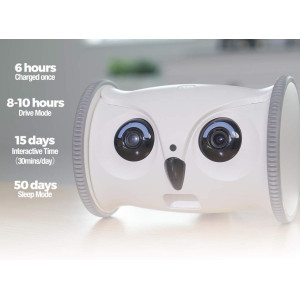 Skymee Owl Robot, the interactive robot for your dog