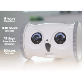SKYMEE Owl Robot: Your Pet's New Best Friend