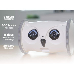 Skymee Owl Robot, le robot interactif pour votre chien