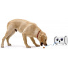 Skymee Owl Robot, the interactive robot for your dog