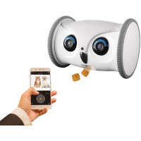 Skymee Owl Robot, le robot interactif pour votre chien