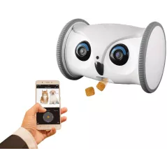 Skymee Owl Robot, le robot interactif pour votre chien