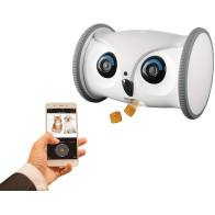 Skymee Owl Robot, le robot interactif pour votre chien