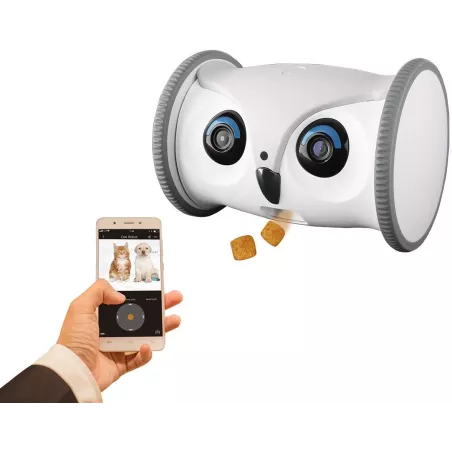 Skymee Owl Robot, le robot interactif pour votre chien