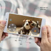 Skymee Owl Robot, the interactive robot for your dog