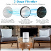 Levoit Air Purifier, breathe better at home