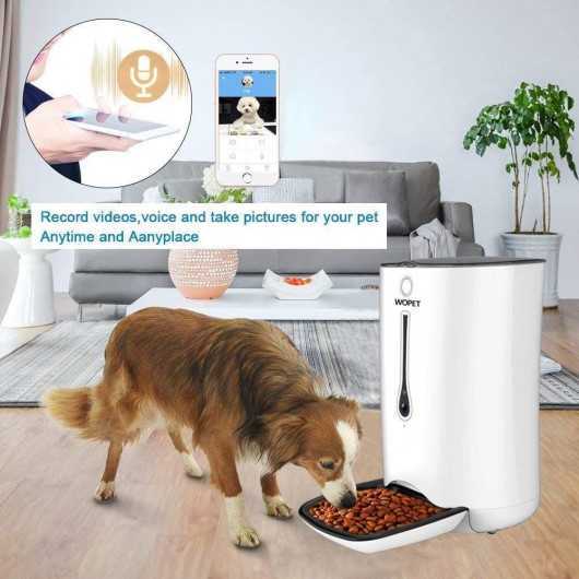 Wopet Automatic Pet Feeder, le distributeur programmable