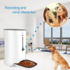 Wopet Automatic Pet Feeder, the programmable feeder