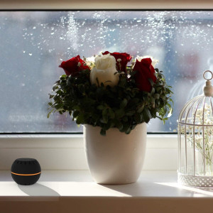 Shelly H&T, the connected temperature and humidity monitor