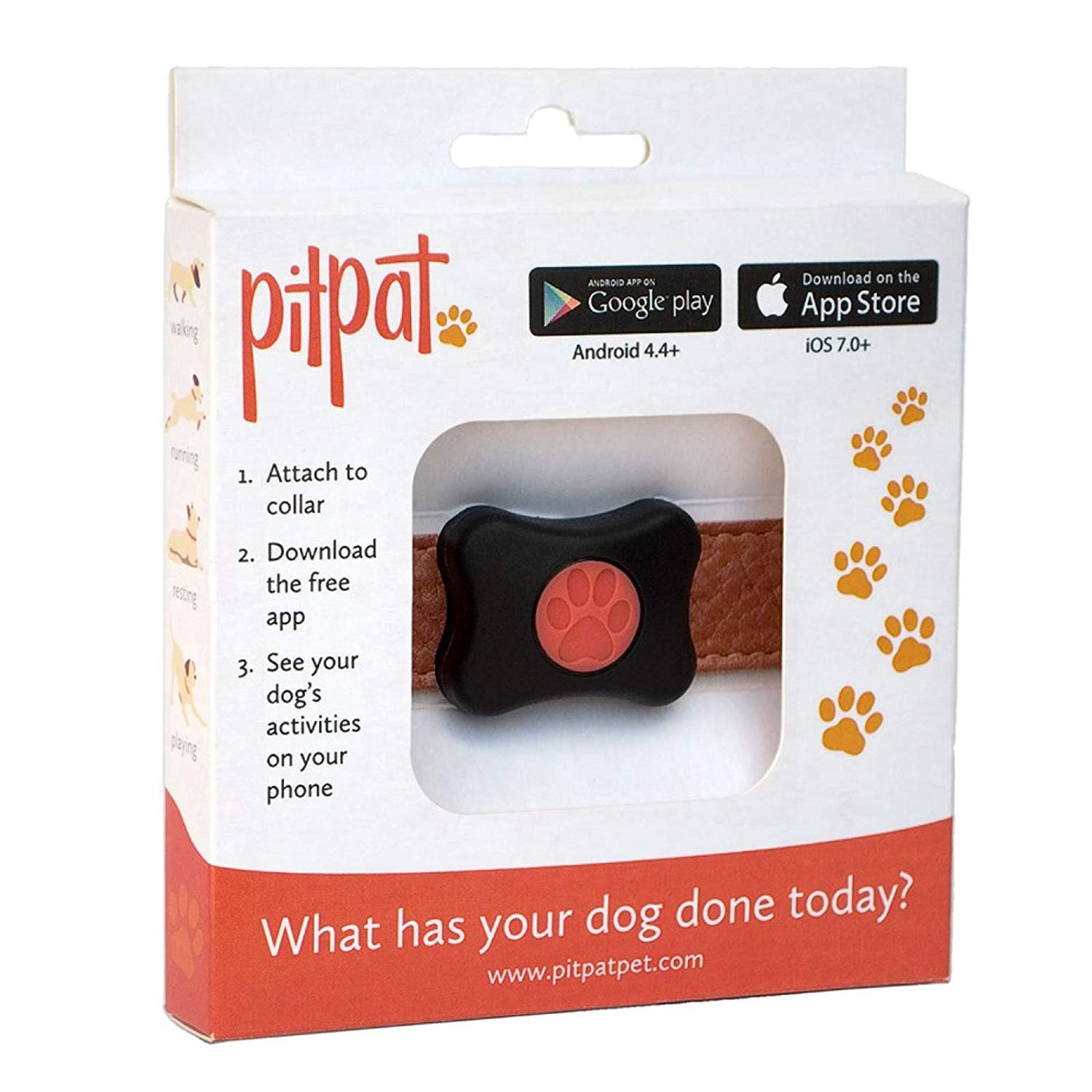 pitpat 2 dog activity monitor