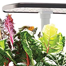 Ultra-thin Grow Light Hood