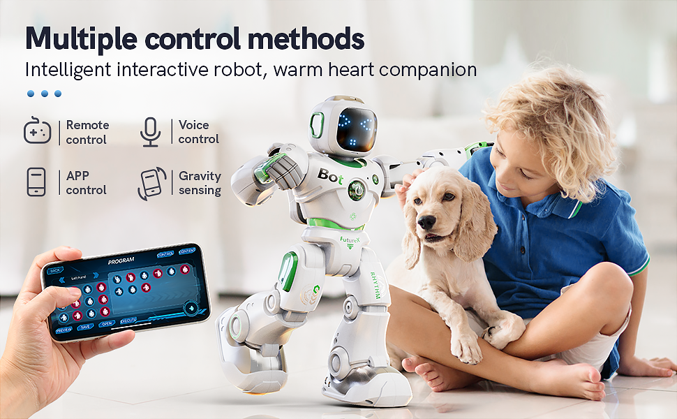 interactive educational robot companion