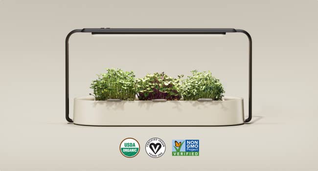 why microgreens