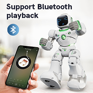 support blusetooth playback