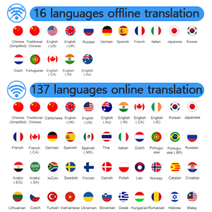 Offline translation and online translation