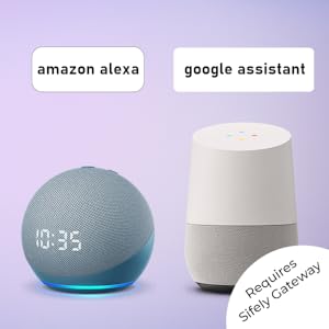 google home and alexa compatible voice control