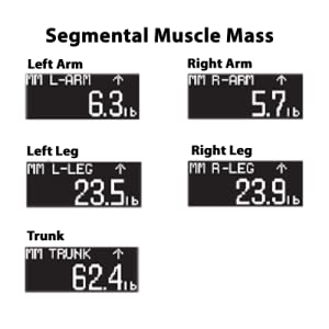 Segmental Muscles Mass measurement reading on scale display