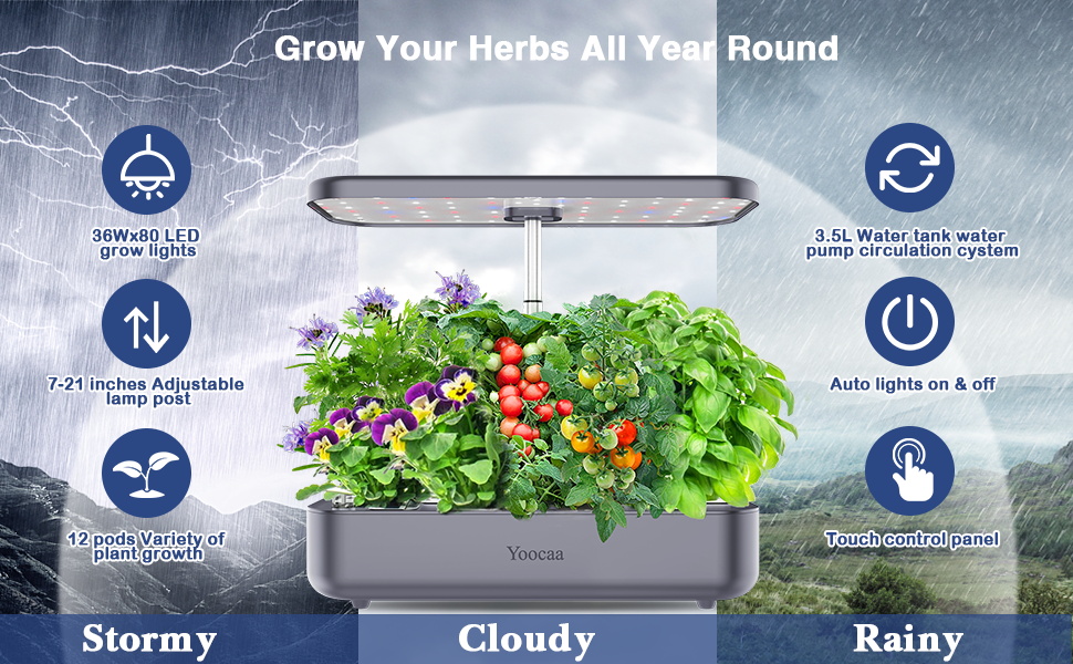 herb garden